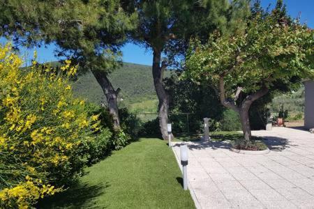 Casa Vacanze Bellavista Анкона Экстерьер фото
